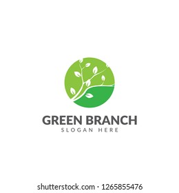 Branch logo or icon vector design template with leaf branches and green circles