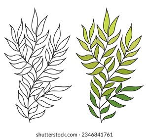 A branch with long leaves in two line options and a colored object. Vector image.