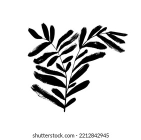 Zweig mit langen, abgerundeten Blättern einzeln auf weißem Hintergrund. Handgezeichnete schwarze Bürste botanische Silhouette. Lange fette Oliven oder Eukalyptusblätter gehen auf den Zweig. Vektorgrafik der einfachen tropischen Pflanze.