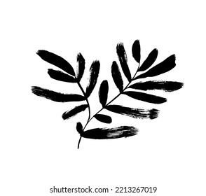 Branch and long rounded leaves isolated white background  Hand drawn black brush botanical silhouette  Long bold olive eucalyptus leaves twig  Vector illustration simple tropical plant 