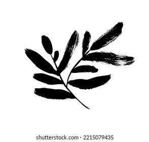 Branch with long rounded leaves isolated on white background. Hand drawn black brush botanical silhouette. Long bold olive or eucalyptus leaves on twig. Vector illustration of simple tropical plant.