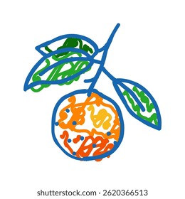 Verzweigung Mandarine Blatt Doodle Symbol Skizze Vektor. Mandarinenblattzeichen. einzelne Symbolgrafik