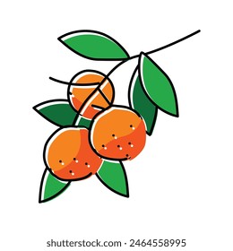 branch mandarin orange color icon vector. branch mandarin orange sign. isolated symbol illustration