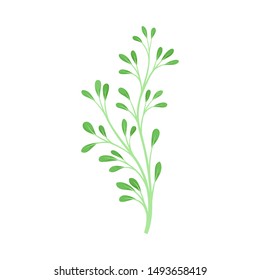 Branch with many stems and leaves. Vector illustration on a white background.