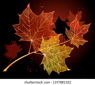 Branch with maple leaves on dark background. Detailed vector illustration of hand drawn autumn leaves. Vintage retro fall seasonal decor