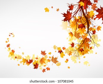 Branch with maple leaves with space for text