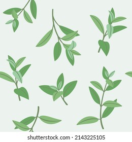 Branch of mint. Trendy pattern with twig. Vector illustration.