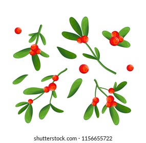 Branch of mistletoe with berries and red bow. A bouquet of Christmas.