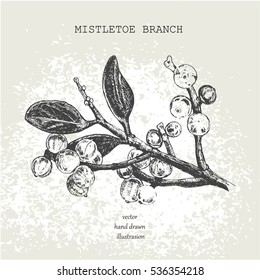 Branch mistletoe hand drawn. Sketch element for your design. Doodle vector illustration.