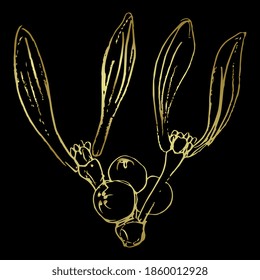 Branch of mistletoe. Viscum album. Floral decoration. Hand drawn linear sketch. Golden silhouette on black background.