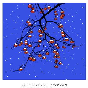 branch of a mountain ash under the snow on a blue background 