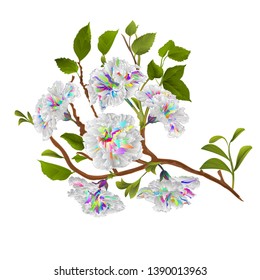Branch multi colored hibiscus tropical flower watercolor  on a white background vintage hand draw vector illustration editable hand draw