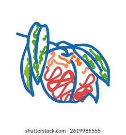 branch nectarine fresh doodle icon sketch vector. branch nectarine fresh sign. isolated symbol illustration