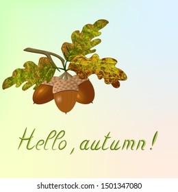 Branch of oak with acorns on a colored background.Colored background with oak branch and text.