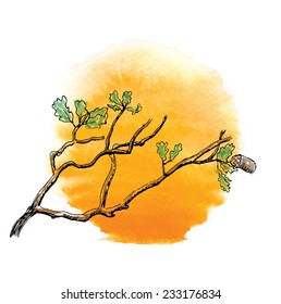 Branch of  oak tree against the sun, vector illustration