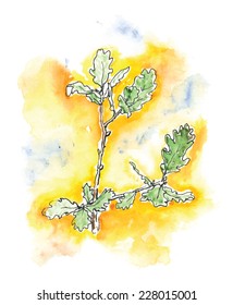 der Ast des Eichenbaums, Aquarell, Vektorgrafik