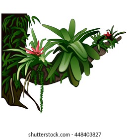 Branch of an old tree covered with vines and exotic plants, isolated on a white background. Vector illustration.