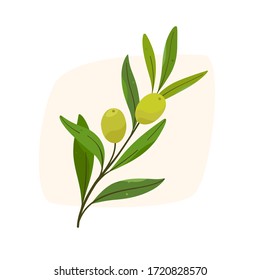 Branch of olive. Flat vector colorful illustration.