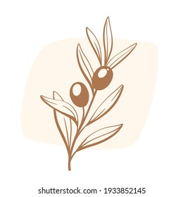 Branch of olive. Flat vector colorful illustration.