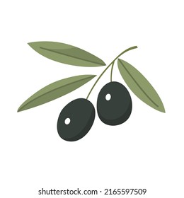 Branch of olive with green leaves. Delicious fruit for seasoning and dishes. Natural vegetable oil. Healthy food. Italy plant. Vector flat illustration isolated on white background