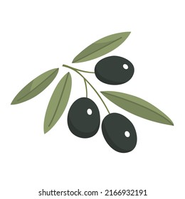 Rama de olivo con hojas verdes. Deliciosa fruta para sazones y platos. Aceite vegetal natural. Alimentos saludables. Planta italiana. Ilustración plana del vector aislada en fondo blanco