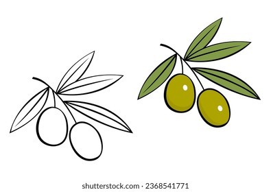 Branch of olive with green leaves. Delicious fruit for seasoning and dishes. Natural vegetable oil. Healthy food. Italy plant. Cartoon vector illustration outline. Coloring page for kids