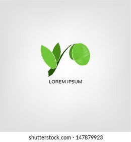 Branch with olive leaves