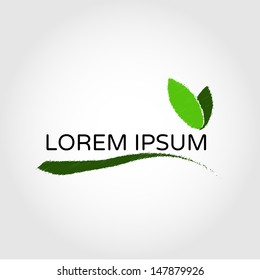 Branch with olive leaves