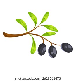 Um ramo de uma oliveira com azeitonas pretas e folhas verdes, estilo gráfico de desenho animado, isolado em fundo branco. Conceito de natureza e comida. Ilustração vetorial