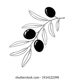 Rama de olivo. Silueta de contorno blanco y negro. Ilustración vectorial.