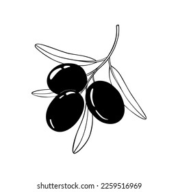 Rama de olivo. Silueta de contorno blanco y negro. Ilustración vectorial.