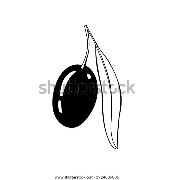 オリーブの枝 白黒の輪郭シルエット ベクターイラスト のベクター画像素材 ロイヤリティフリー