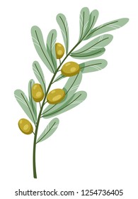 A branch of olive tree. Green olives with leaves. Vector illustration in hand drawn style.