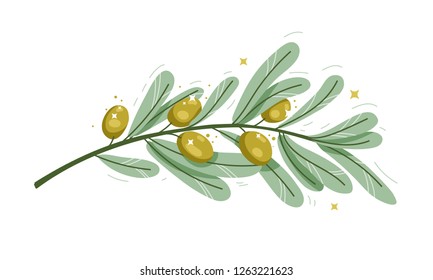 A branch of olive tree. Green olives with leaves. Vector illustration in hand drawn style.