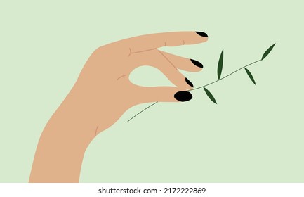 Branch of olive tree in hand illustration. Woman hand with leaves.
Vector hand with floral branch for template print and design.
