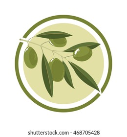 branch of olive tree with white olives. Vector Illustration in circle. Template for badges, emblems or label design.