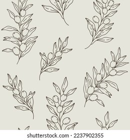 Branch of olive. Trendy pattern with twig in boho style. Flat vector illustration.