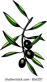 Branch with olives. Check my portfolio for many more images of this series.