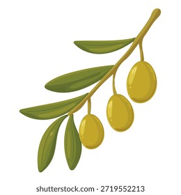 Rama de aceitunas. Clipart de Vector plano, ilustración con fondo aislado.