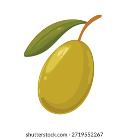 Ramo de azeitona. Clipart de vetor plano, ilustração com plano de fundo isolado.