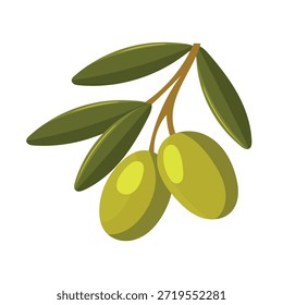 Branch of olives. Flat vector clipart, illustration with isolated background.