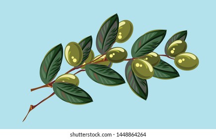 Branch with olives, freehand drawing