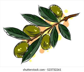 Branch with olives, freehand drawing