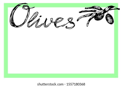 Branch of olives in a green frame with the text ,, Olives ", sketch element. Monochrome drawing, hand-drawn on a white background. Suitable for background design, food packaging, cosmetics. Vector