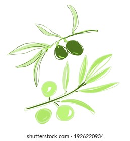 Olive Leaf Drawing Images, Stock Photos & Vectors | Shutterstock