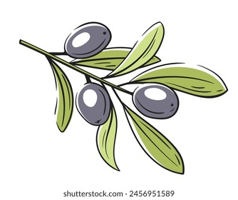 Branch with olives isolated on white background. Olives icon in vintage cartoon style. Vector illustration