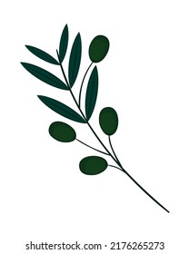 branch olives leaf icon isolated flat