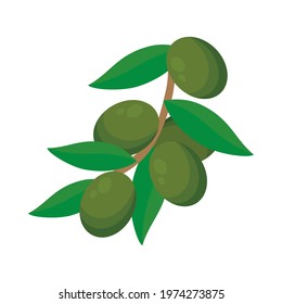branch with olives and leaves