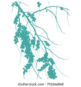 Branch with olives. Silhouette. Vector illustration, graphic on white background. 