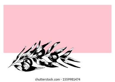 Branch olives sketch element. Monochrome drawing by hand on a pink background. Suitable for background design, food packaging, cosmetic products, decoupage. Vector illustration
